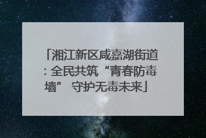 湘江新区咸嘉湖街道：全民共筑“青春防毒墙” 守护无毒未来